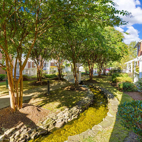 a garden with a small stream running through it.