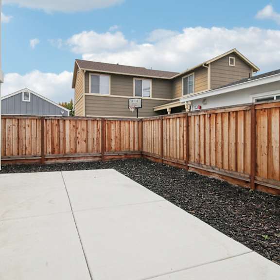 backyard