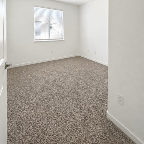 a room with a carpeted floor and a window with blinds.
