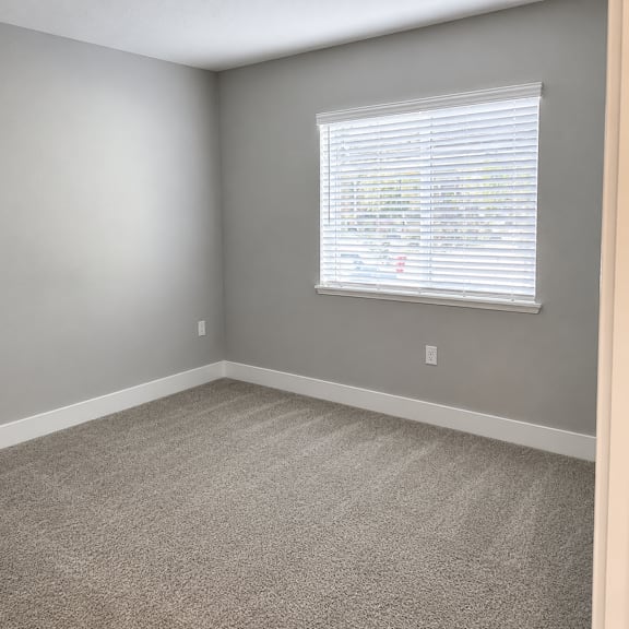 a room with a carpeted floor and a window with blinds.