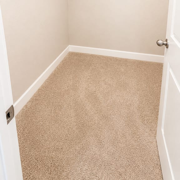 a white closet with a carpeted floor and a white door.
