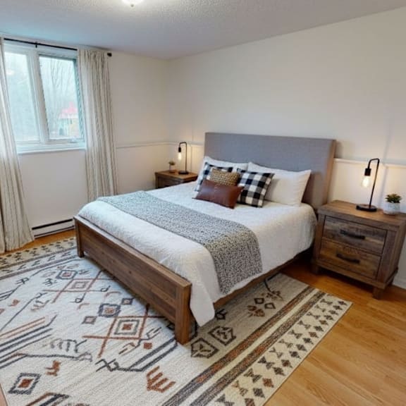 a bedroom with a large bed and a patterned rug.