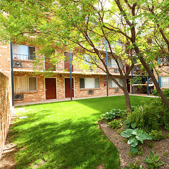 a tree in a garden in front of a building.