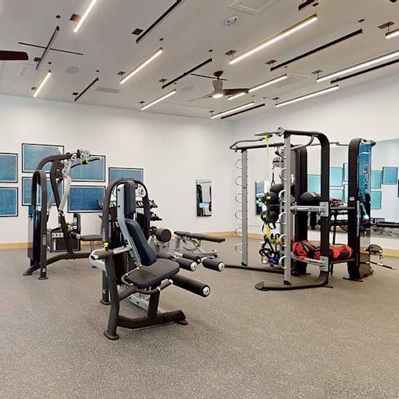 a gym with treadmills, weights, and exercise machines.