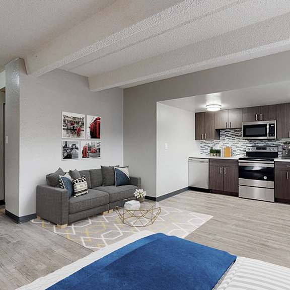 a modern kitchen with a grey couch and a blue rug.