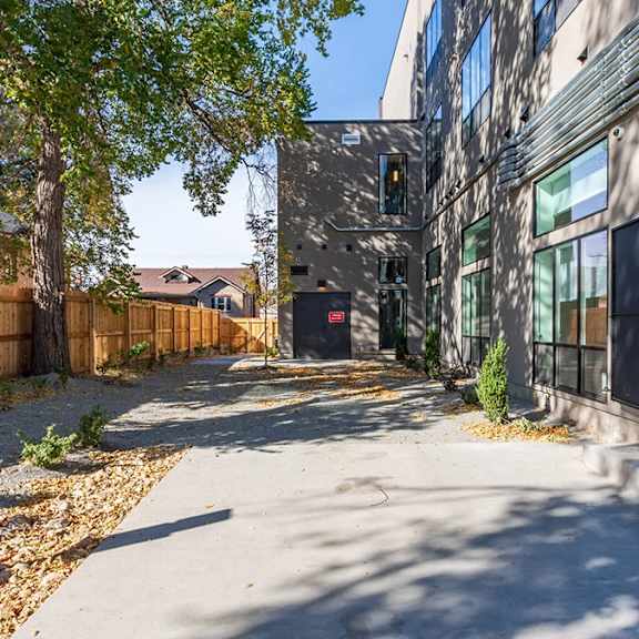 a tree-lined sidewalk leads to a building with a black facade.