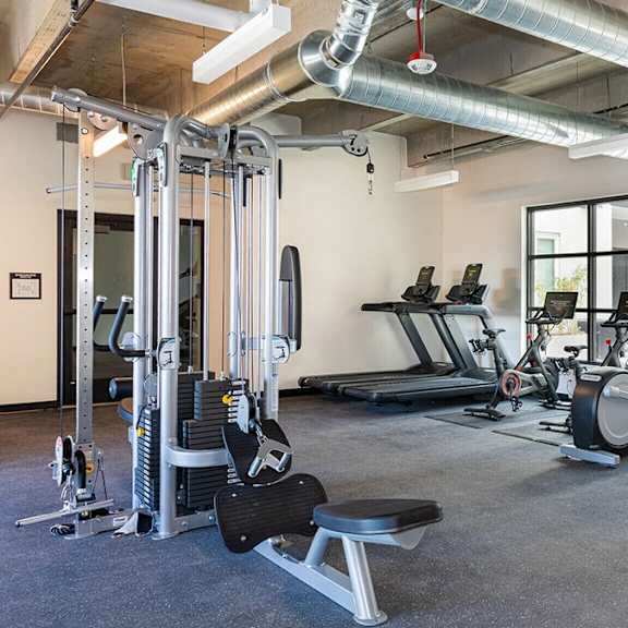 a gym with a variety of equipment including treadmills, weights, and exercise machines.