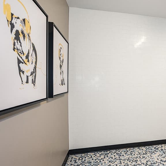 a bathroom with a white wall and a black and white tiled floor.