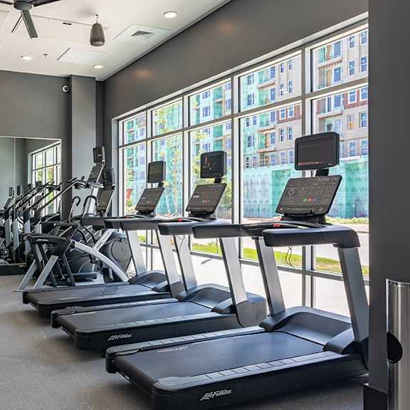 a gym with treadmills, weights, and exercise equipment.