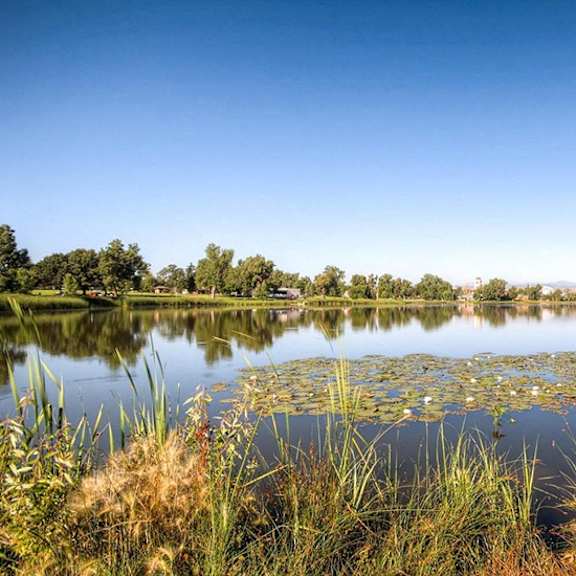 a serene lake surrounded by grass and trees under a clear blue sky.