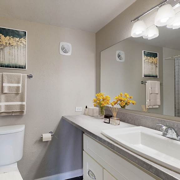 a bathroom with a white toilet, sink, and a mirror.