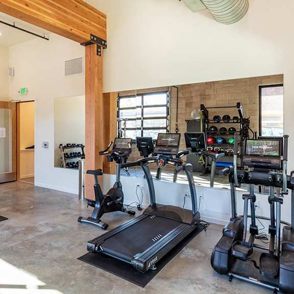 a gym with a variety of equipment including treadmills, weights, and exercise machines.