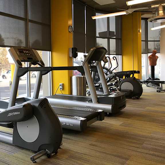 a gym with treadmills and elliptical machines.