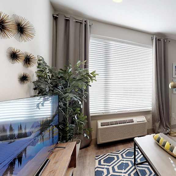 a living room with a couch, a television, and a plant.