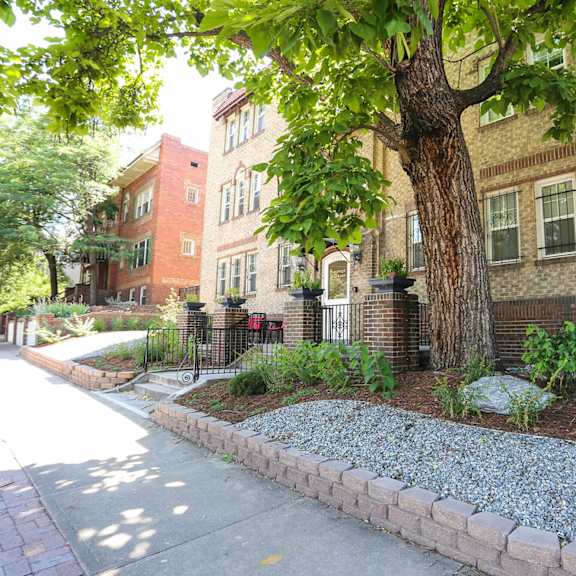 a tree in front of a brick building.