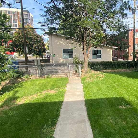 a green lawn with a concrete walkway in the middle.