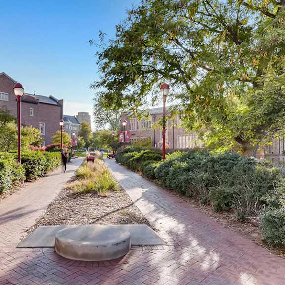 a brick pathway leads through a landscaped area with a bench and a tree.