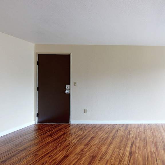 a room with a wooden floor and a brown door.