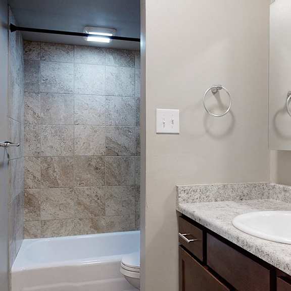 a bathroom with a sink, mirror, and shower.