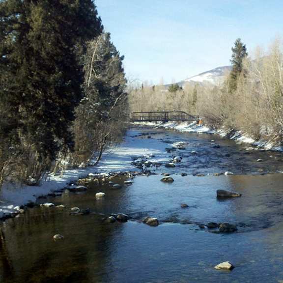a river flows through a snowy landscape with trees on either side.