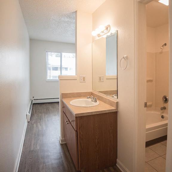 a bathroom with a sink, mirror, and bathtub.