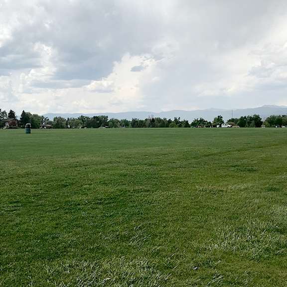 a large, open grassy field with a few scattered trees and a cloudy sky overhead.