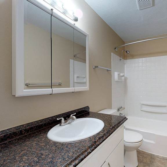 a bathroom with a sink, mirror, toilet, and bathtub.
