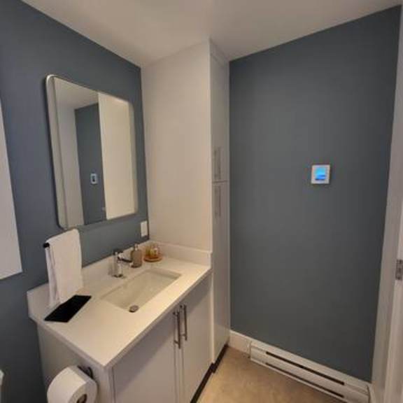 a bathroom with a sink, mirror, and toilet paper roll.