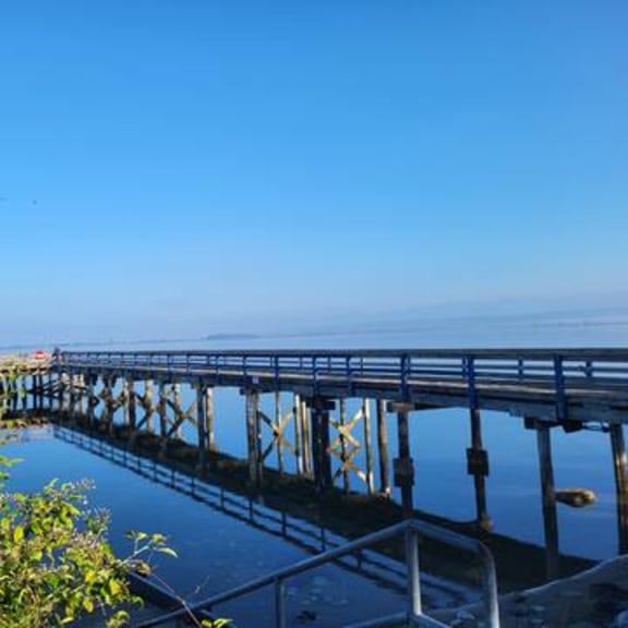 a long pier extends into a calm body of water.