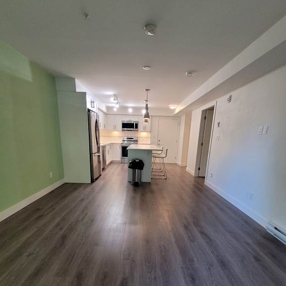 a room with a wooden wall and a green floor.