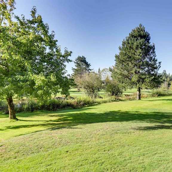 a lush green field surrounded by trees under a clear blue sky.