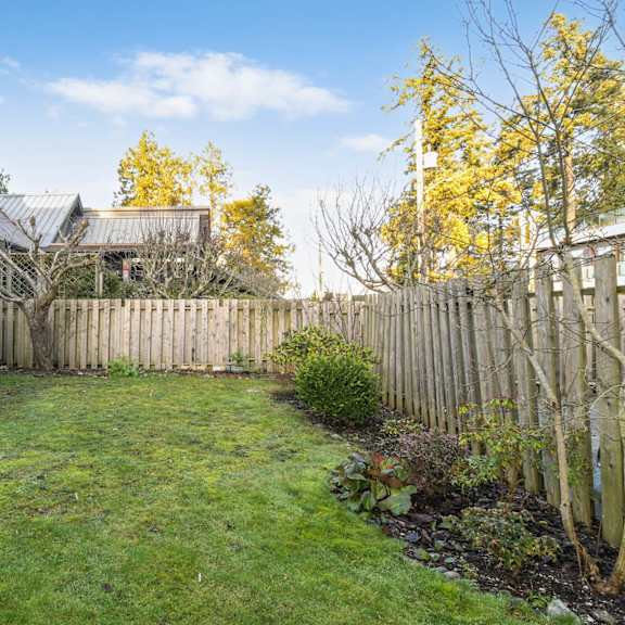 a backyard with a wooden fence and a green lawn.