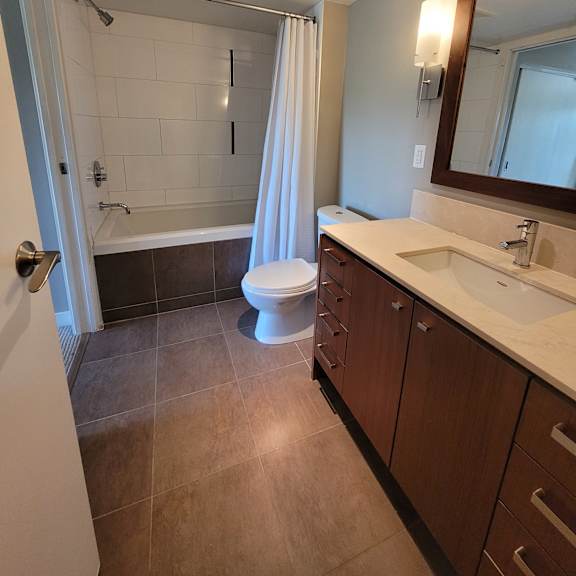 a bathroom with a skylight and a walk-in shower.