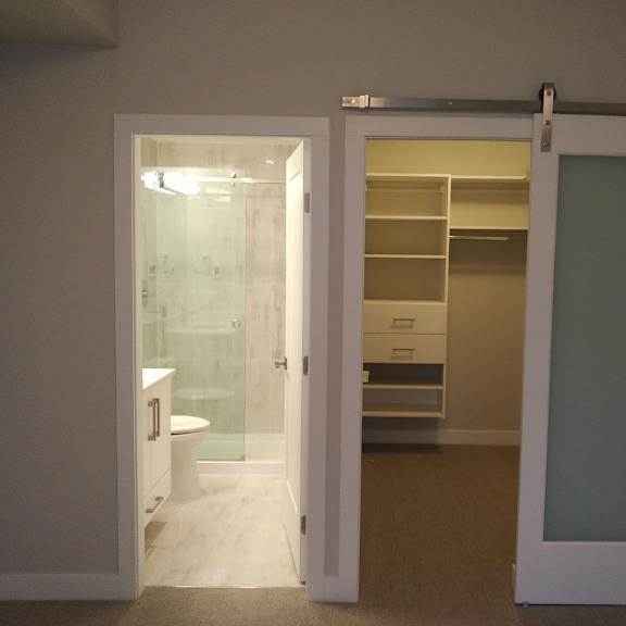 a bathroom with a walk-in shower and a white toilet.