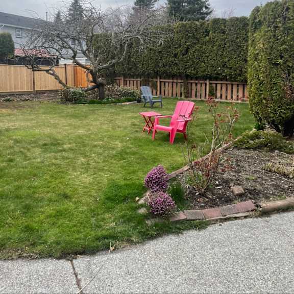 a backyard with a red chair and a small tree.