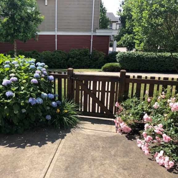 a wooden fence is in front of a green bush.