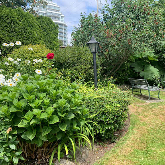 a park bench sits in the middle of a lush green garden.