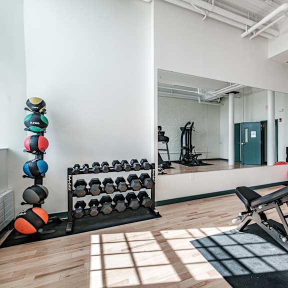 a gym with a bench, weights, and exercise balls.