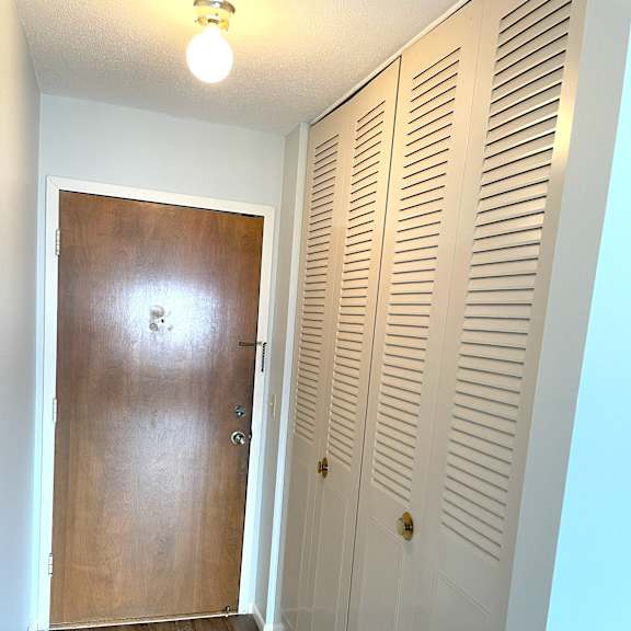 large closet at entry hallway.