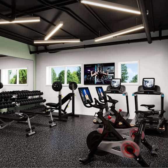 a gym with a row of treadmills and elliptical machines.