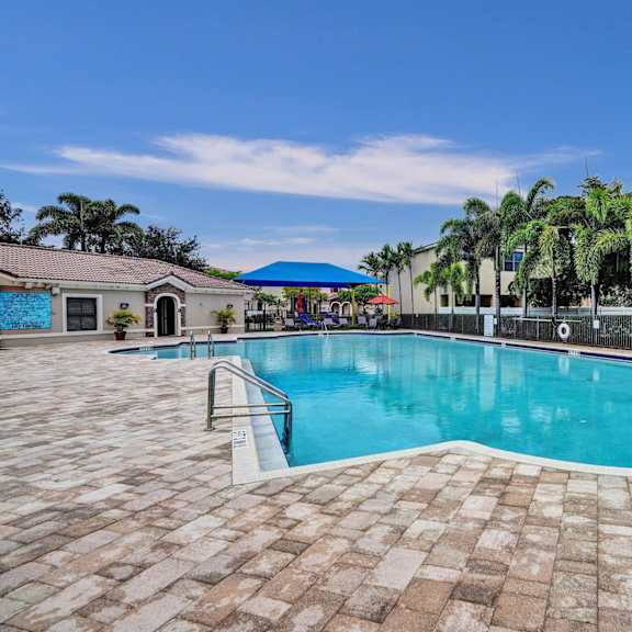 community pool surrounded by palm trees and a clear blue sky.