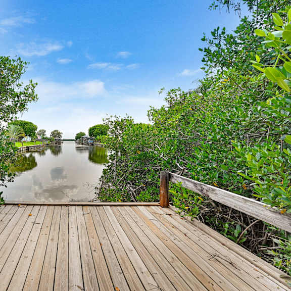 a wooden walkway leads through a mangrove forest to a body of water.