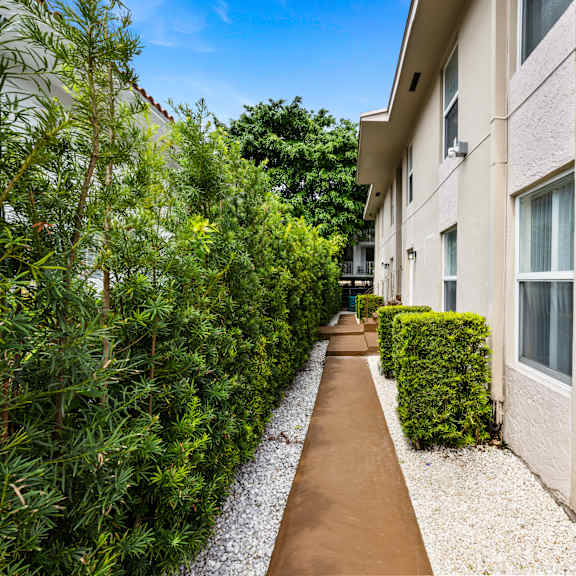 a narrow pathway leads between two rows of green shrubbery.