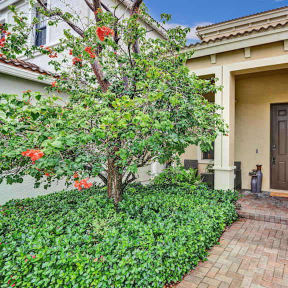 a house with a brown door and a tree with red flowers in front.