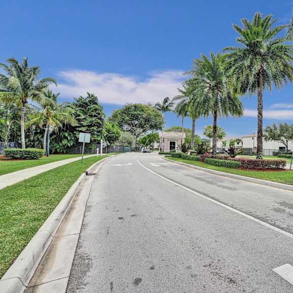 a street with palm trees on the side.