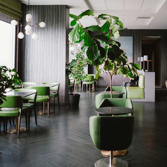 a room with green chairs and a plant hanging from the ceiling.