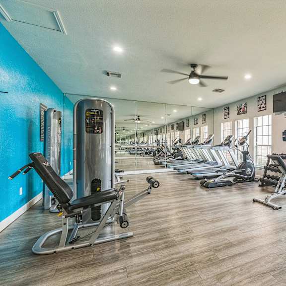 a gym with a variety of equipment including treadmills, weights, and a rowing machine.