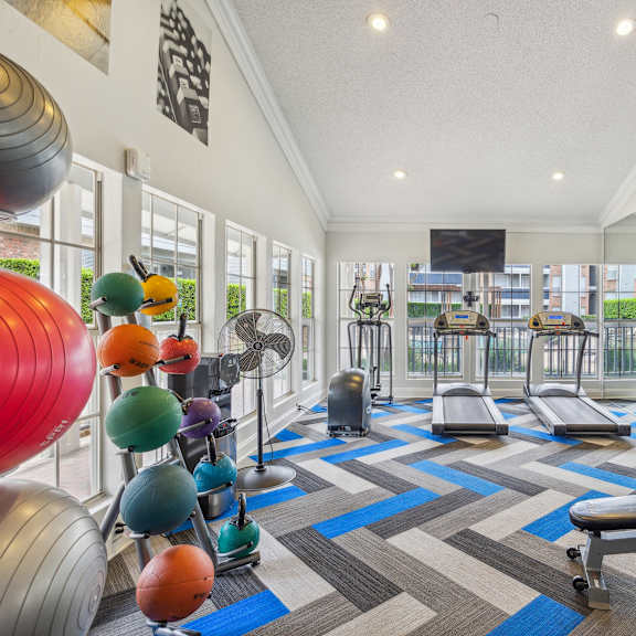 a gym with a variety of equipment including a rowing machine, a bench press, and a leg press.