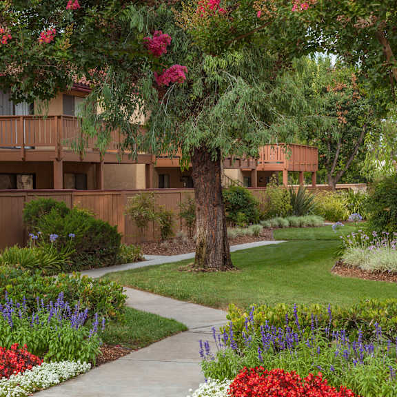 a garden with a variety of flowers in the foreground and a building in the background.