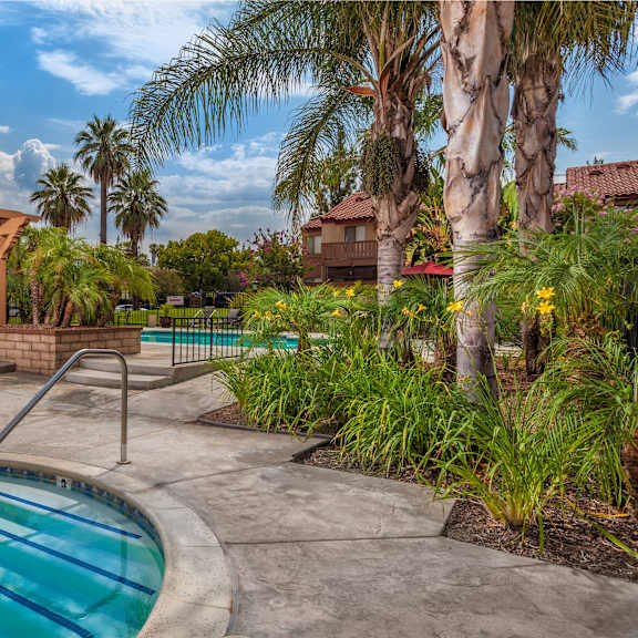 a pool with a slide in the middle of a backyard.